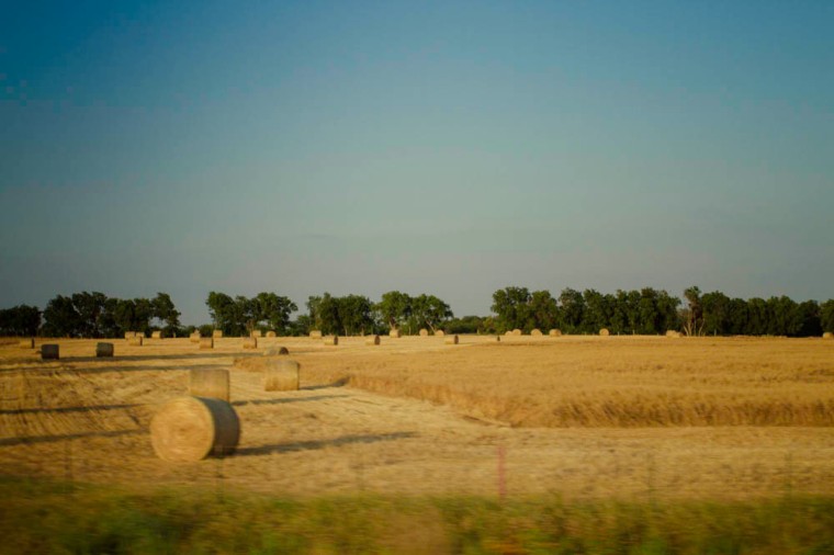 hay fields